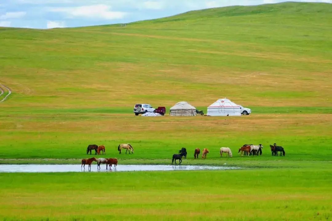 内蒙古草原-2.jpeg
