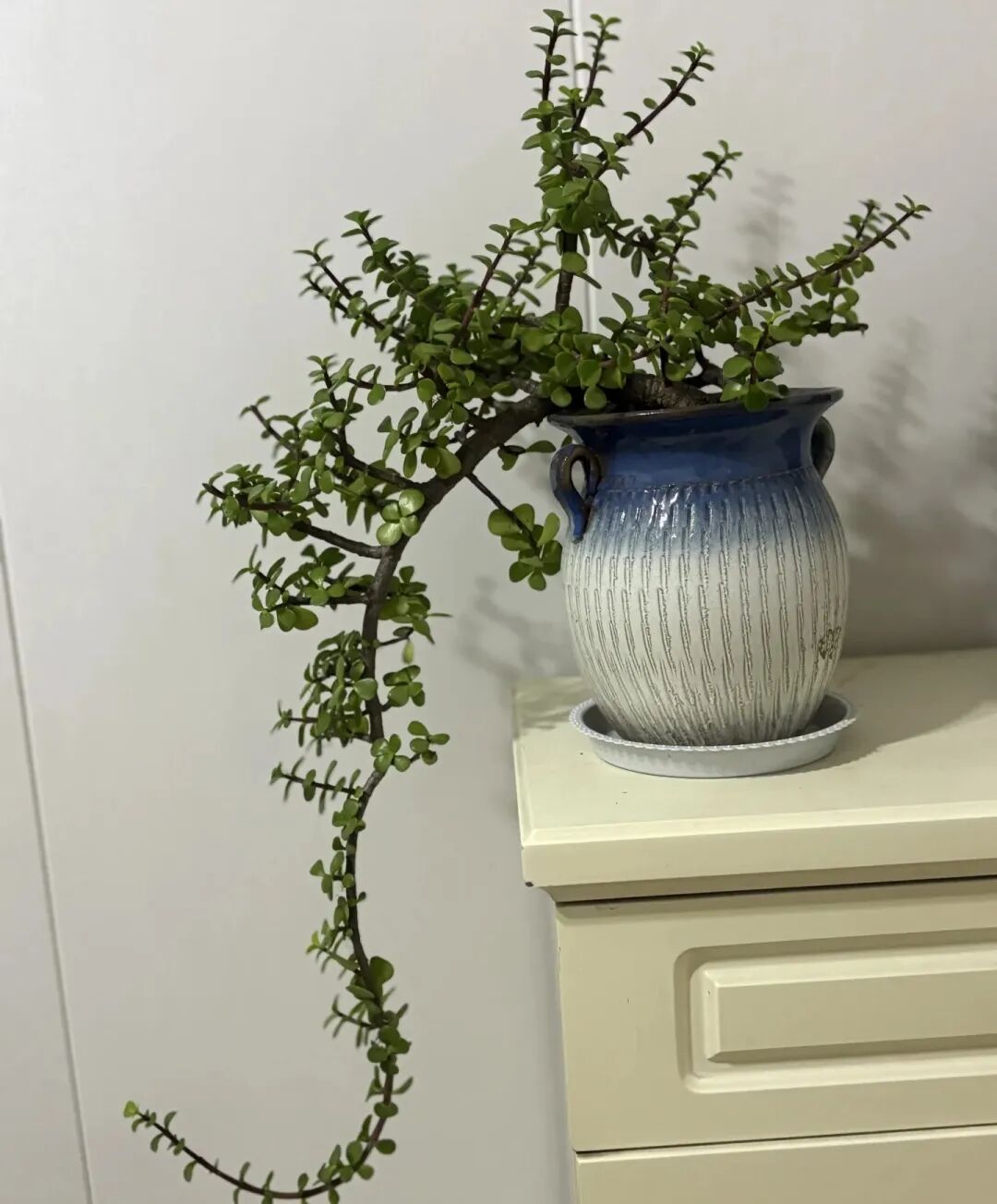 1765416405140890.jpg 644.jpg